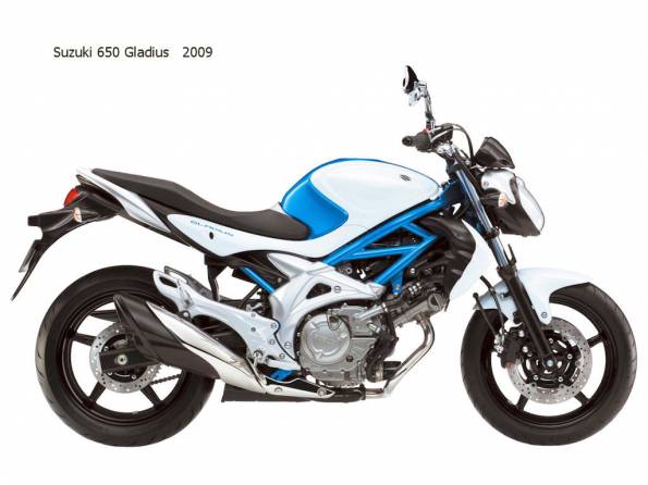 Suzuki 650 Gladius 2009