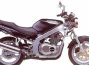 Suzuki GS500 2001